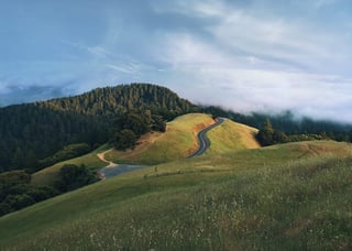Clean, beautiful skies above a forest meadow hillside by Jared Erondu